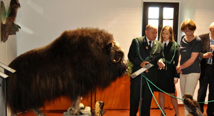 Otwarcie wystawy “Zwierzęta Świata”