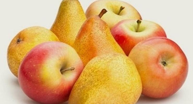 Wsparcie kryzysowe producentów owoców i warzyw
