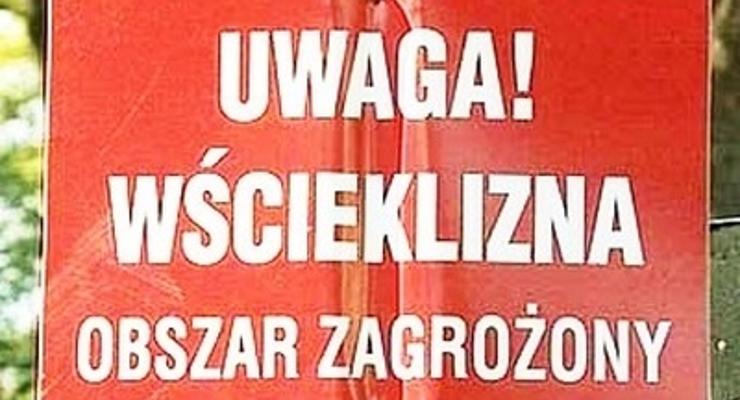 Nowe ognisko wścieklizny w powiecie