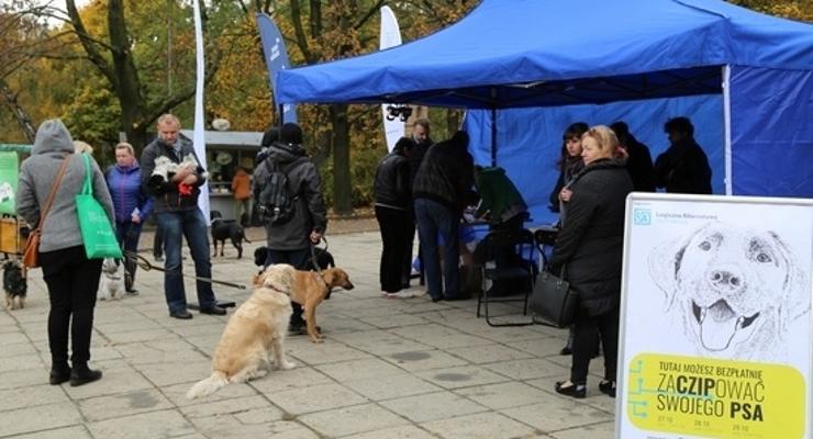 Kolejka na półtorej godziny przed startem