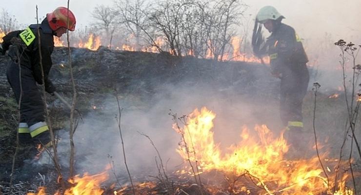 Strażacy apelują - nie wypalaj suchych traw! 