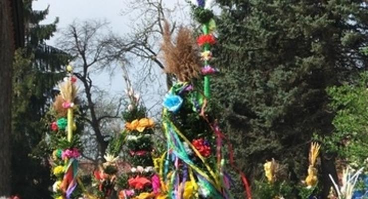 Procesja palmowa przeszła ulicami Bochni