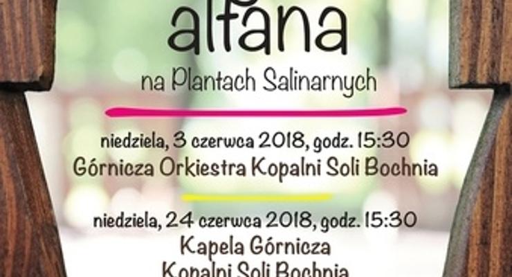 Górnicy zagrają w Altanie