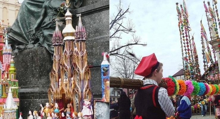 Palmy pozazdrościły szopkom