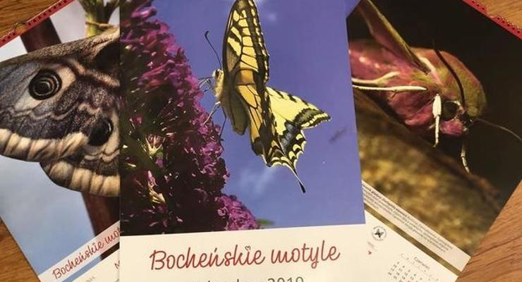 Bocheński kalendarz z motylami