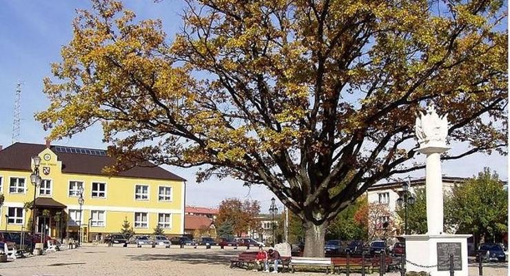 Roszady w Urzędzie Gminy Łapanów