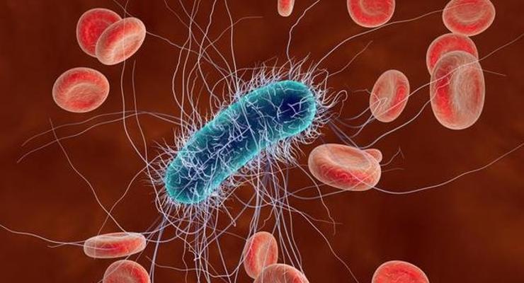 W Łapanowie znów bakteria coli