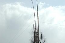 Ponad 32 metry palmy-Niedziela Palmowa w Lipnicy 