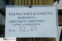 Ponad 32 metry palmy-Niedziela Palmowa w Lipnicy 