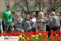 Rynek-tęgie lanie dla Janusza Palikota