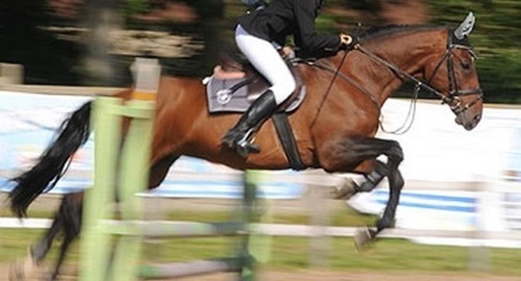 Jesienny Piknik Konny – Jadowniki 2012