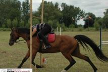 Zawody konne w Chodenicach (foto)