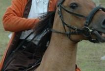 Zawody konne w Chodenicach (foto)