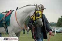 W Buczkowie ruszył czwarty w Polsce tor wyścigów konnych