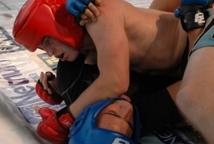 MMA na zamku w Wiśniczu