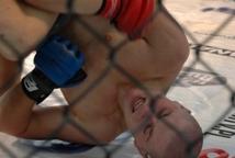 MMA na zamku w Wiśniczu