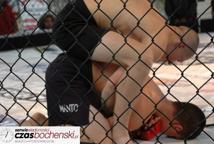 MMA na zamku w Wiśniczu