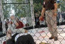 MMA na zamku w Wiśniczu