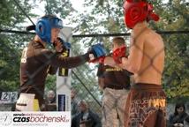 MMA na zamku w Wiśniczu