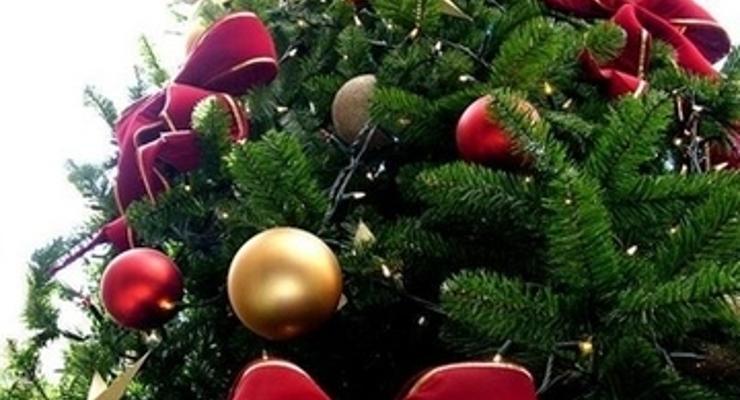 Krakowianie ubiorą choinkę na Rynku