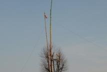 Lipnica: konkurs palm rozstrzygnięty