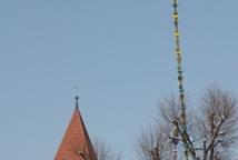 Lipnica: konkurs palm rozstrzygnięty