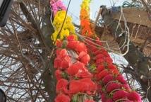 Lipnica: konkurs palm rozstrzygnięty
