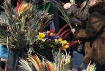Lipnica: konkurs palm rozstrzygnięty