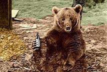 Kapral Wojtek będzie mieć swój pomnik