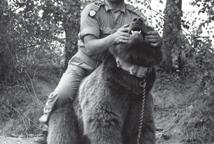 Kapral Wojtek będzie mieć swój pomnik