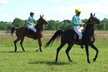 Sezon wyścigów konnych rozpoczęty (foto)