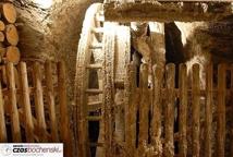 Mamy UNESCO!!! Bocheńska kopalnia wpisana na listę
