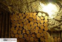 Mamy UNESCO!!! Bocheńska kopalnia wpisana na listę