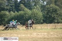 Dąbrówka: wyścigi konne przyciągnęły tłum widzów