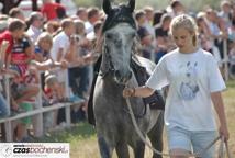 Dąbrówka: wyścigi konne przyciągnęły tłum widzów
