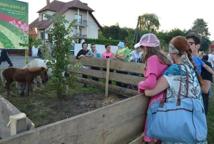 Gminne Dożynki w Lipnicy Murowanej (foto)