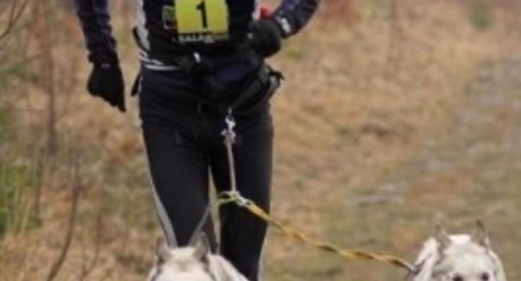 Limanowa: I Dogtrekking Frikaj 2013 