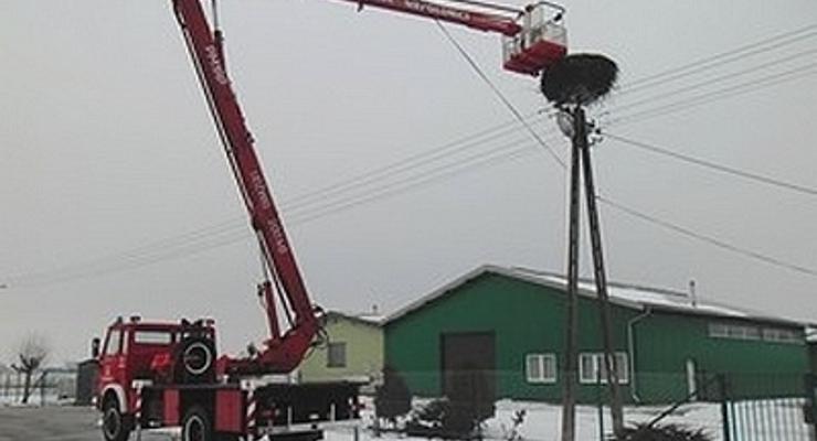 Strażacy dokarmiają... bociany