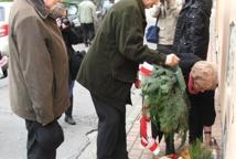 Odsłonięto tablicę ku pamięci Profesorstwa Kotów