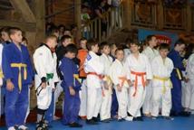 XVII Międzynarodowy Turniej Judo otwarty (foto)