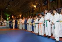XVII Międzynarodowy Turniej Judo otwarty (foto)