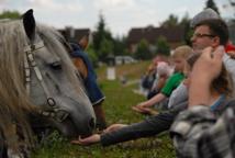 Rycerstwo potykało się w Niepołomicach (foto)