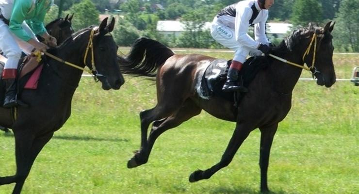 Sezon wyścigów konnych rozpoczęty (foto)