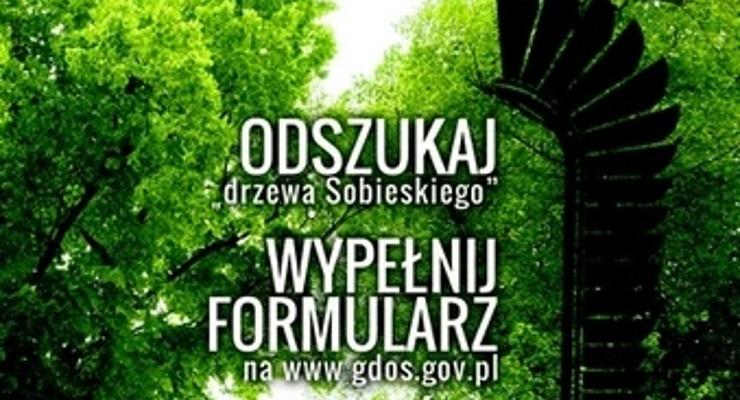 Szukaj drzew Sobieskiego