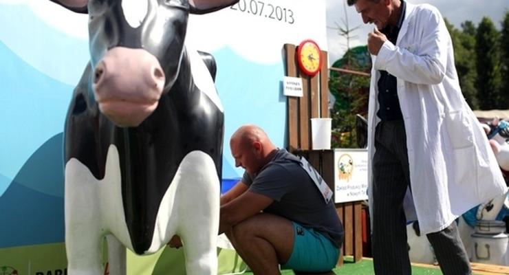 Nowy rekord Polski w dojeniu sztucznej krowy