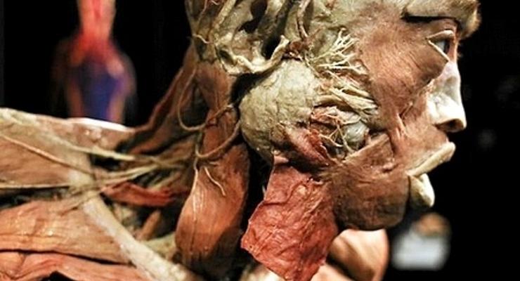 The Human Body otwarta do listopada