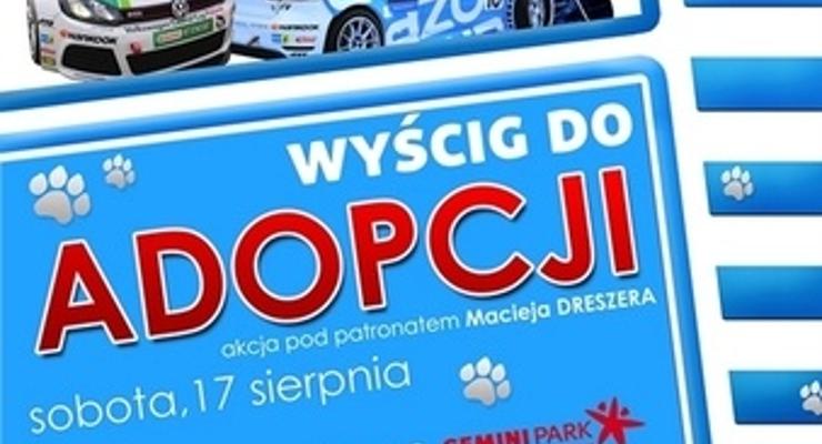 Wyścig do adopcji z tarnowskim Azylem