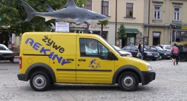 Uwaga! Rekin na Rynku!