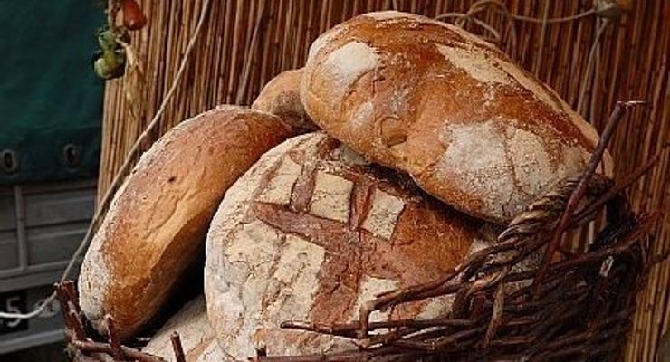 Święto Chleba w Żegocinie