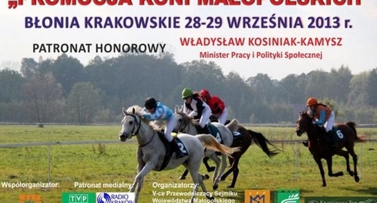 Promocja małopolskich koni na Błoniach